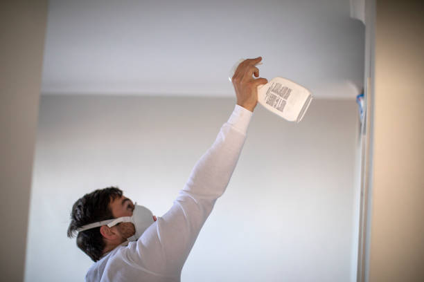Best Mold Damage Repair  in Coal City, IL