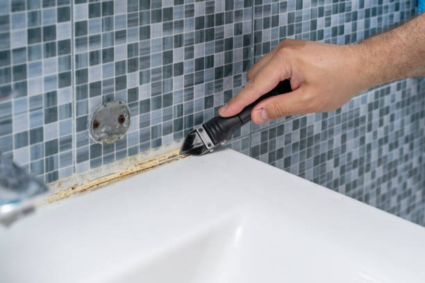 Best Water Damage Restoration  in Coal City, IL